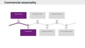 Fashion Management Course: Fashion Product Lifecycle