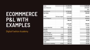 Ecommerce P&L with Examples